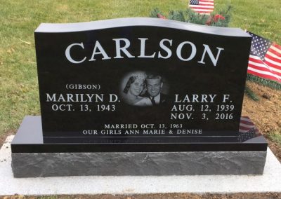 Double Carlson Larry (Small)
